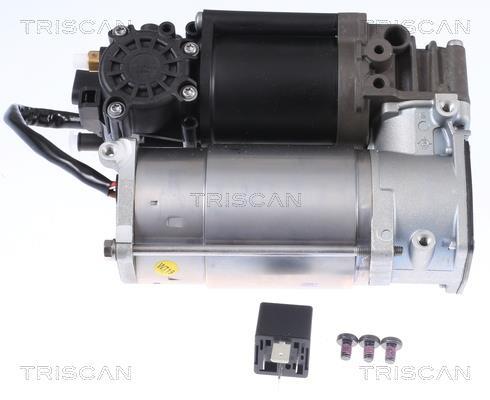 Compresseur, système d'air comprimé Triscan A/S ref. 8725 23102