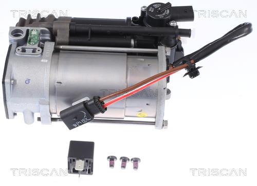 Compresseur, système d'air comprimé Triscan A/S ref. 8725 23102