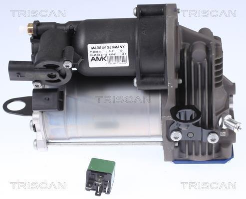 Compresseur, système d'air comprimé Triscan A/S ref. 8725 23103