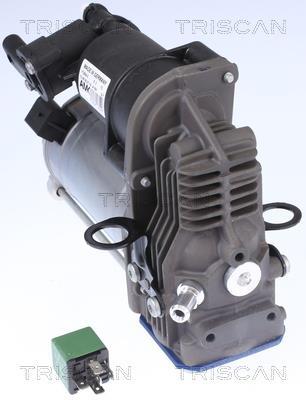 Compresseur, système d'air comprimé Triscan A/S ref. 8725 23103