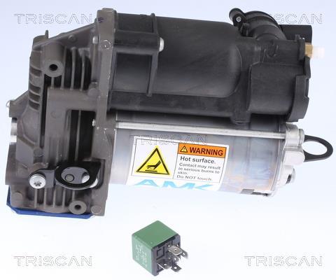 Compresseur, système d'air comprimé Triscan A/S ref. 8725 23103