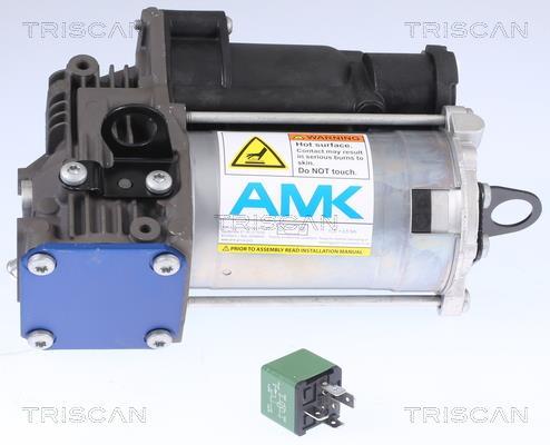 Compresseur, système d'air comprimé Triscan A/S ref. 8725 23103