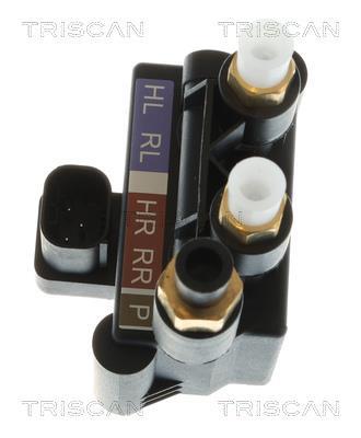 Compresseur, système d'air comprimé Triscan A/S ref. 8725 23203