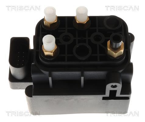 Compresseur, système d'air comprimé Triscan A/S ref. 8725 23205