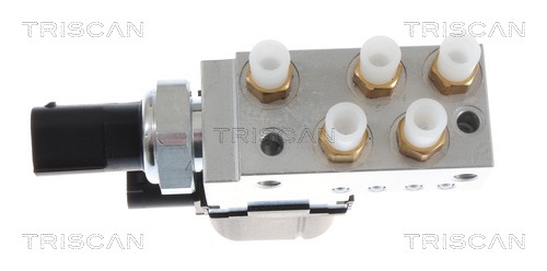 Compresseur, système d'air comprimé Triscan A/S ref. 8725 23206