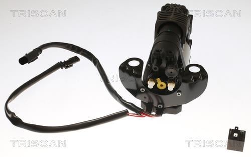 Compresseur, système d'air comprimé Triscan A/S ref. 8725 27101