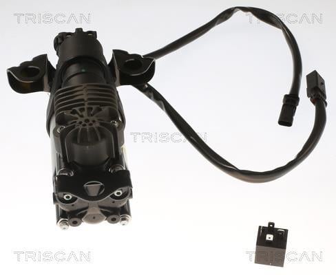 Compresseur, système d'air comprimé Triscan A/S ref. 8725 27101