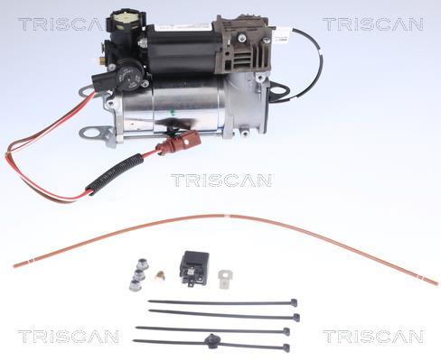 Compresseur, système d'air comprimé Triscan A/S ref. 8725 29101