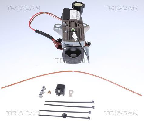 Compresseur, système d'air comprimé Triscan A/S ref. 8725 29101