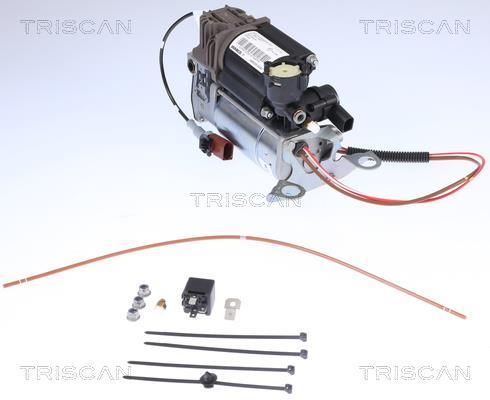 Compresseur, système d'air comprimé Triscan A/S ref. 8725 29101