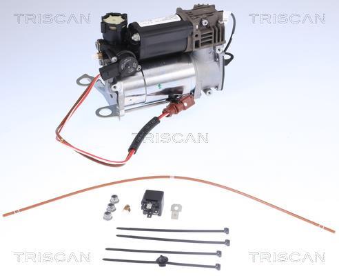Compresseur, système d'air comprimé Triscan A/S ref. 8725 29101