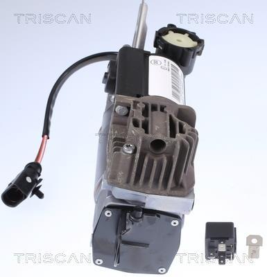 Compressor do ar de serviço Triscan A/S ref. 8725 29102