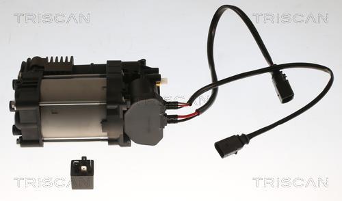 Compresor, sistema de aire comprimido Triscan A/S ref. 8725 29103