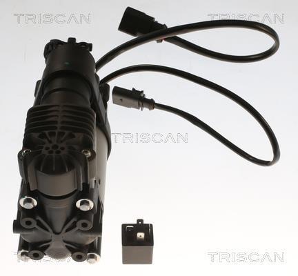 Compresor, sistema de aire comprimido Triscan A/S ref. 8725 29103