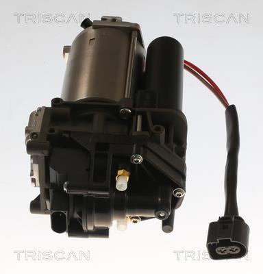 Compressor do ar de serviço Triscan A/S ref. 8725 29104