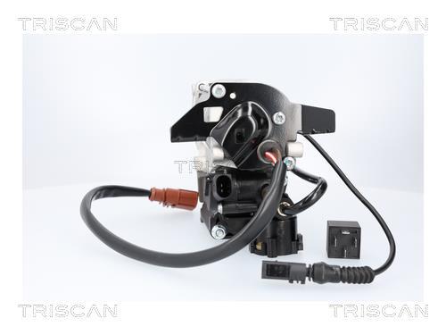 Compresseur, système d'air comprimé Triscan A/S ref. 8725 29105