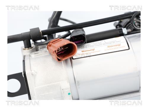 Compresseur, système d'air comprimé Triscan A/S ref. 8725 29105