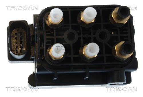 Compressor do ar de serviço Triscan A/S ref. 8725 29201