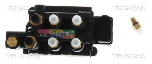 Compresseur, système d'air comprimé Triscan A/S ref. 8725 29204