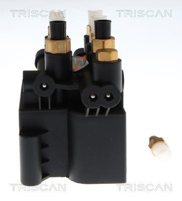 Compresseur, système d'air comprimé Triscan A/S ref. 8725 29204