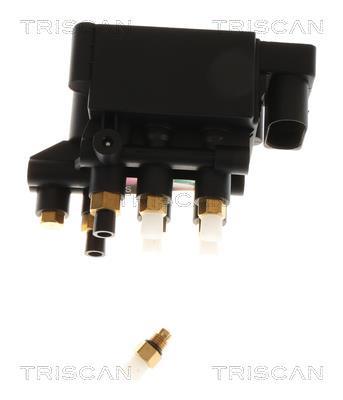 Compresseur, système d'air comprimé Triscan A/S ref. 8725 29204