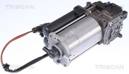Compresseur, système d'air comprimé Triscan A/S ref. 8725 81101