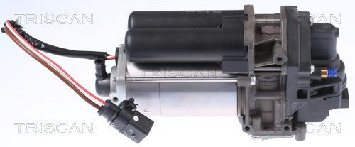 Compresseur, système d'air comprimé Triscan A/S ref. 8725 81101