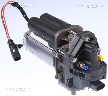 Compresseur, système d'air comprimé Triscan A/S ref. 8725 81101