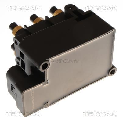 Compresseur, système d'air comprimé Triscan A/S ref. 8725 81201