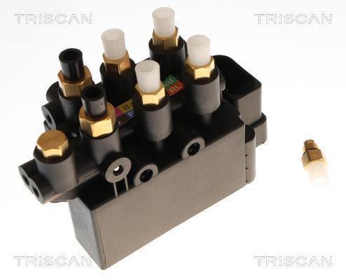 Compresseur, système d'air comprimé Triscan A/S ref. 8725 81202