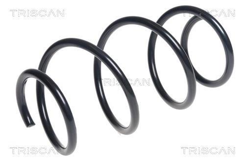 Mola de suspensão Triscan A/S ref. 8750 11192
