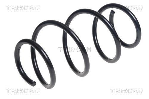 Mola de suspensão Triscan A/S ref. 8750 11194