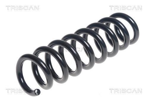 Mola de suspensão Triscan A/S ref. 8750 11200