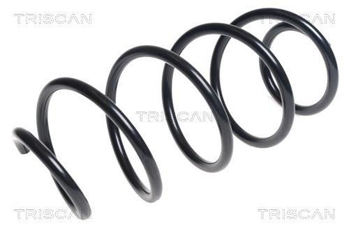 Mola de suspensão Triscan A/S ref. 8750 11206