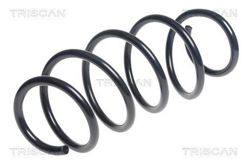 Mola de suspensão Triscan A/S ref. 8750 11207