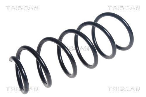 Mola de suspensão Triscan A/S ref. 8750 11224