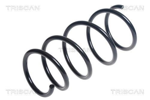 Mola de suspensão Triscan A/S ref. 8750 13206