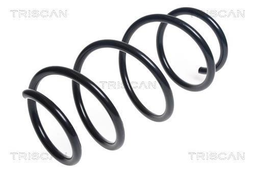 Mola de suspensão Triscan A/S ref. 8750 13211
