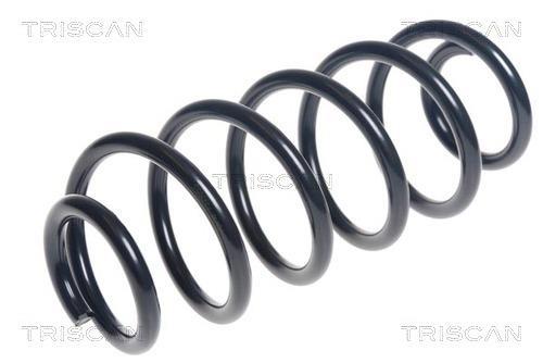 Mola de suspensão Triscan A/S ref. 8750 13212
