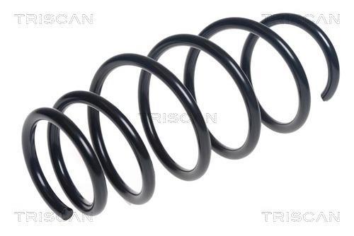 Mola de suspensão Triscan A/S ref. 8750 13222