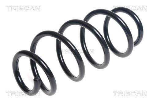 Mola de suspensão Triscan A/S ref. 8750 13224