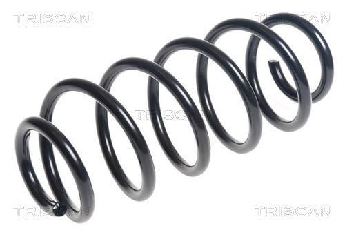 Mola de suspensão Triscan A/S ref. 8750 13225