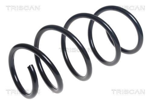 Mola de suspensão Triscan A/S ref. 8750 13227