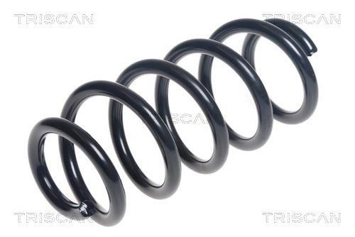 Mola de suspensão Triscan A/S ref. 8750 13228