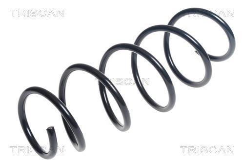 Mola de suspensão Triscan A/S ref. 8750 15220