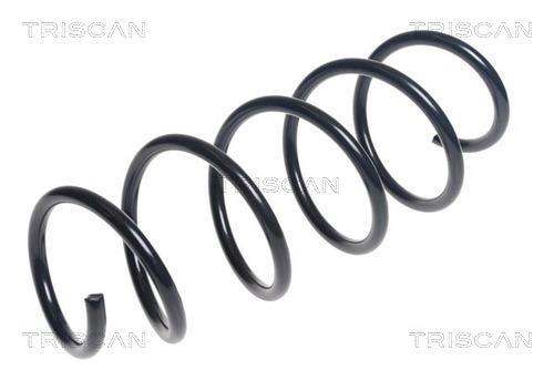 Mola de suspensão Triscan A/S ref. 8750 15221