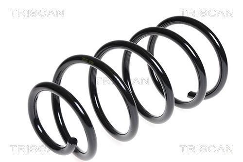 Mola de suspensão Triscan A/S ref. 8750 16110