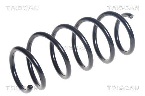 Mola de suspensão Triscan A/S ref. 8750 16125