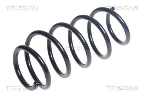 Mola de suspensão Triscan A/S ref. 8750 16166
