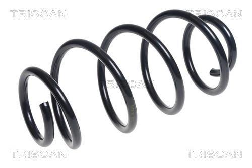 Mola de suspensão Triscan A/S ref. 8750 16168